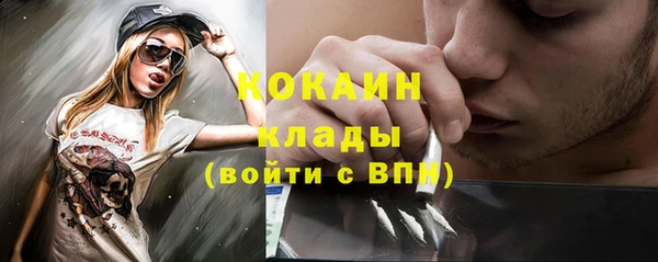 винт Каменка