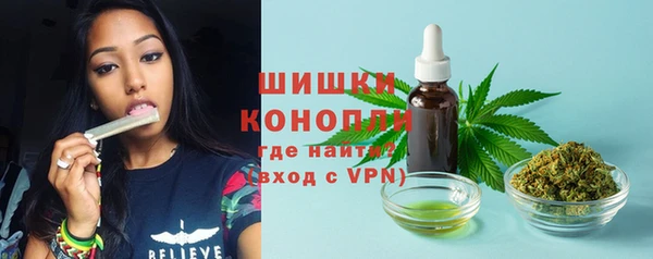 скорость Каменногорск