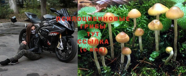 винт Каменка