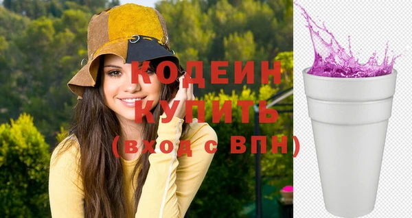 винт Каменка