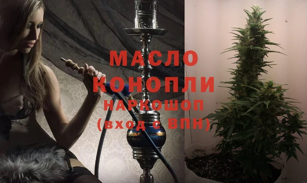 винт Каменка