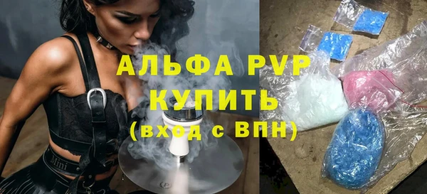 винт Каменка