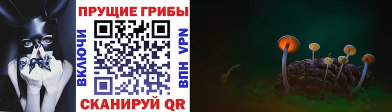 Галлюциногенные грибы ЛСД  Купить закладки  Похвистнево 